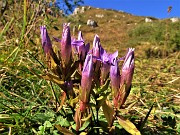 In RESEGONE, Punta Cermenati 1875 m, da Fuipiano-27sett22- FOTOGALLERY